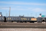 GNTX 295452